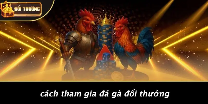 Đá gà đổi thưởng 3 đá gà đổi thưởng
