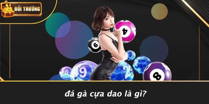 Đá Gà Cựa Dao 1 Đá Gà Cựa Dao Là Gì