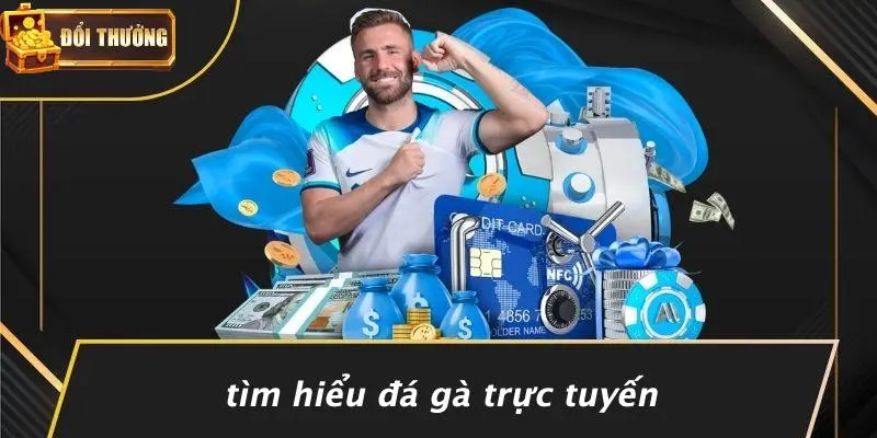 Đá gà trực tuyến 1 Đá gà trực tuyến