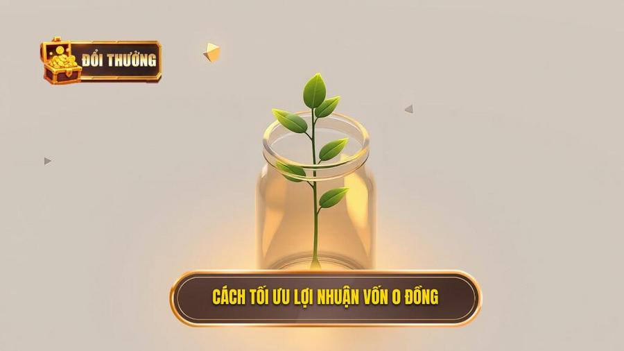 Bí quyết tối ưu hóa lợi nhuận từ số vốn 0 đồng